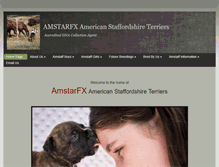 Tablet Screenshot of amstarfx.com